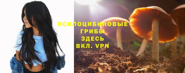 ПСИЛОЦИБИНОВЫЕ ГРИБЫ Ладушкин