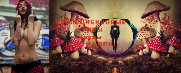 амфетамин Лабытнанги