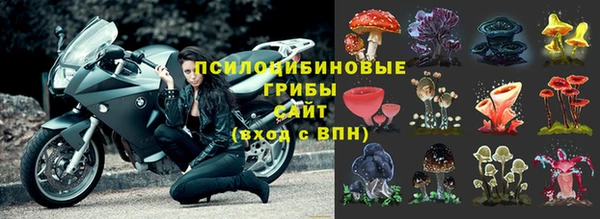 спайс Лагань